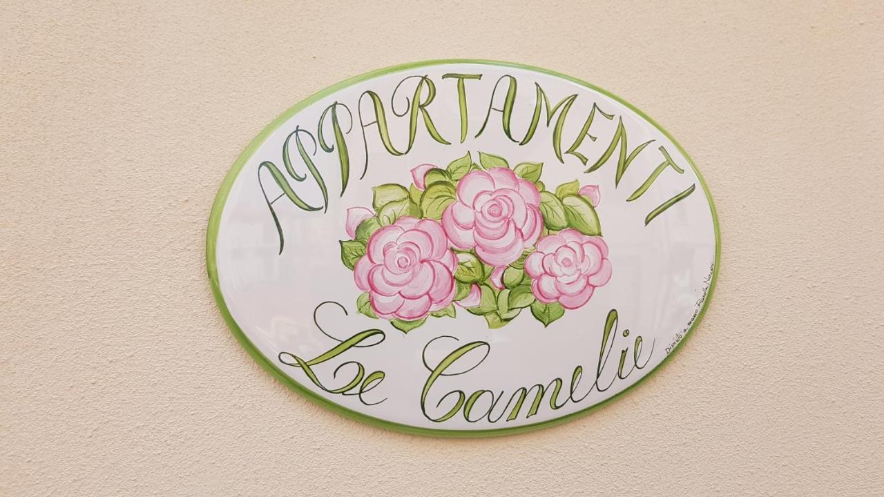 Le Camelie -Appartamenti Nuovi Porto SantʼElpidio Exterior foto